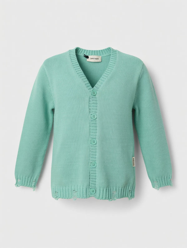 THE BROTHERS BRAND CAR.